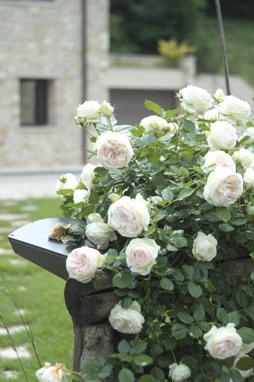 Agriturismo Casamela Paderno del Grappa Exterior photo
